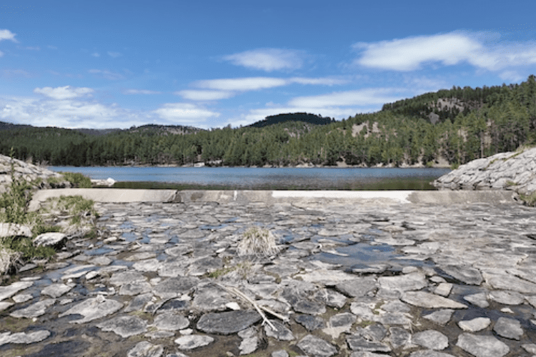 Dried Grace Coolidge Creek view