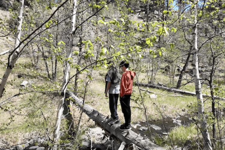 Two young boys crossing Grace Coolidge Creek by balancing across on a fallen tree