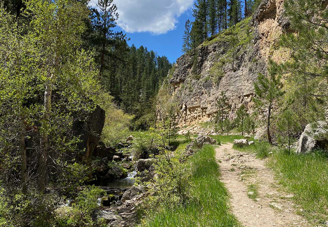 Iron Creek Trail in Spearfish Canyon