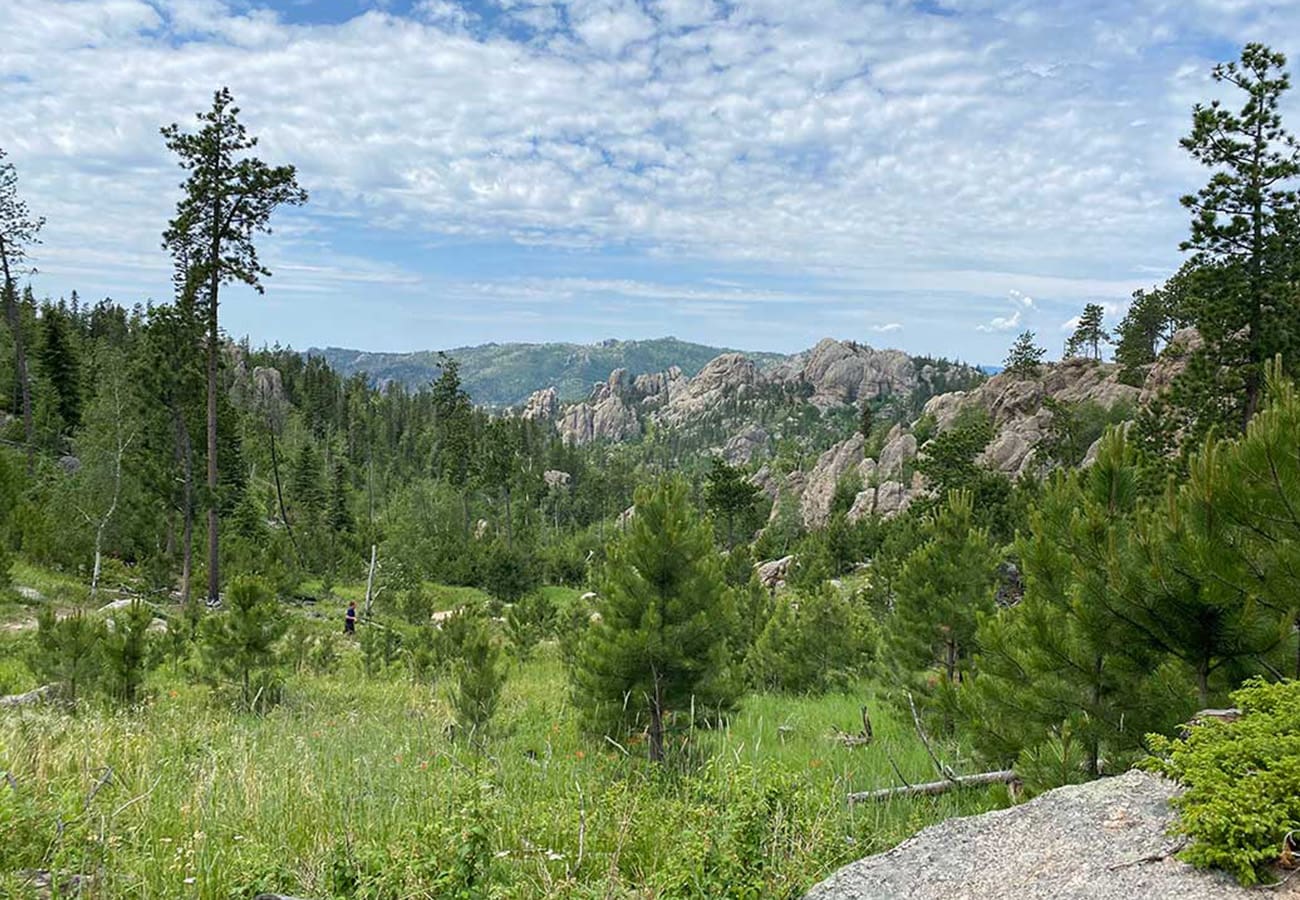 Black Elk Peak #4 Header Image