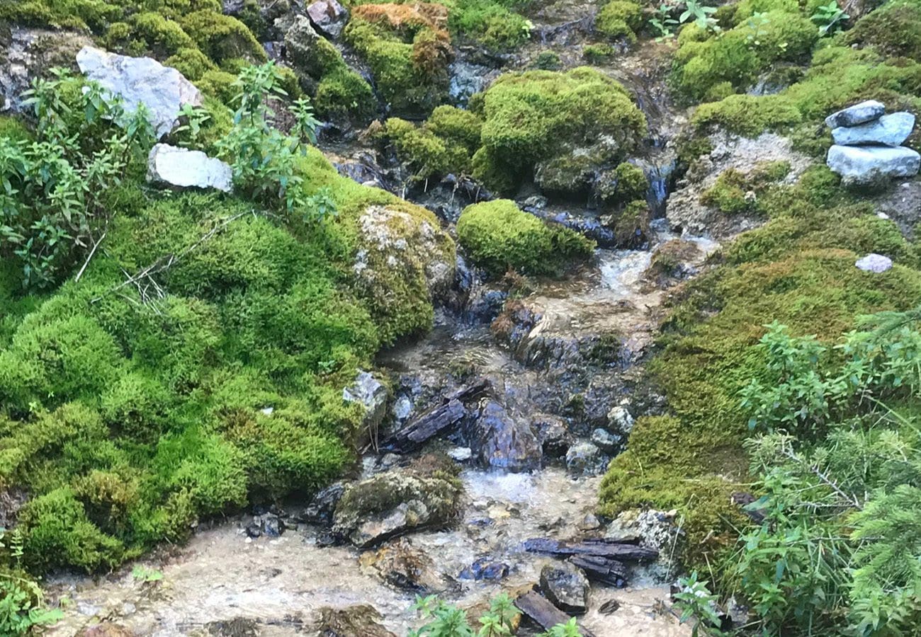 Botany Canyon Header