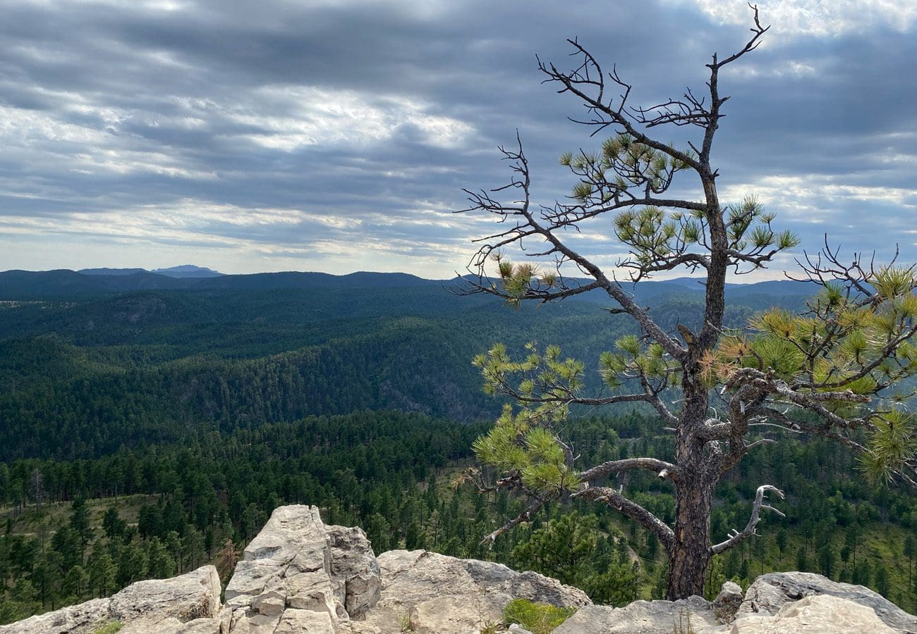 Buzzards Roost Overlook
