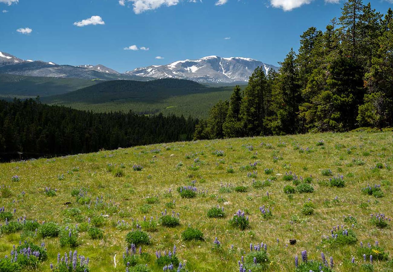 Cloud Peak Header Image