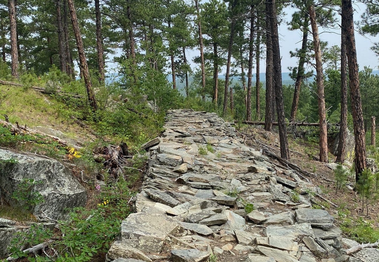 Coon Hollow Loop Path