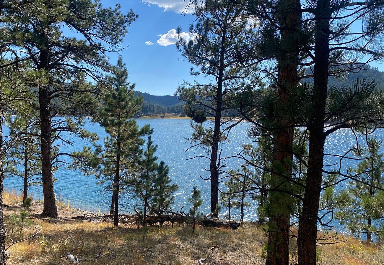 Osprey Lake View Header Image