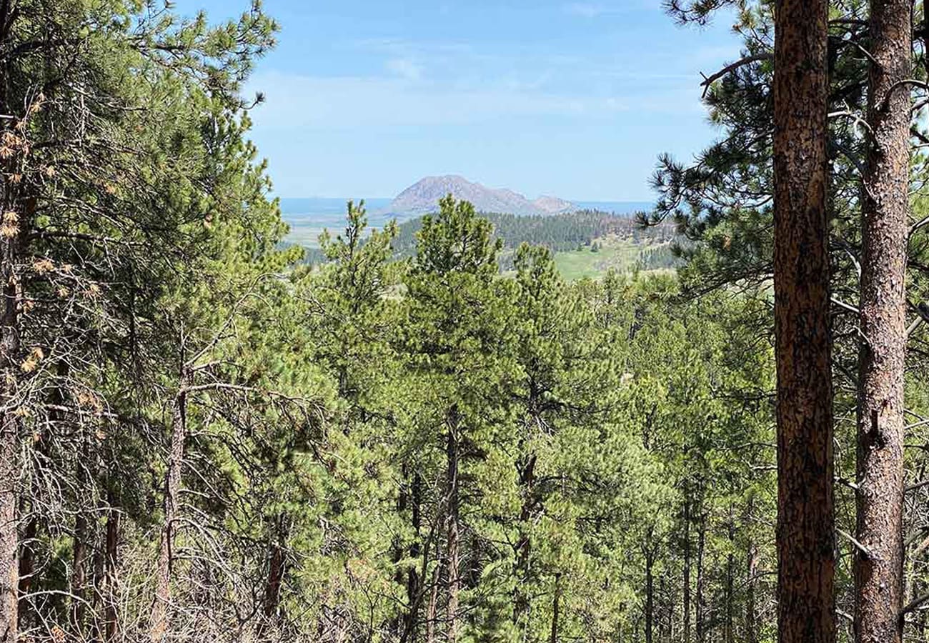 Centennial Creek Elk Creek Header