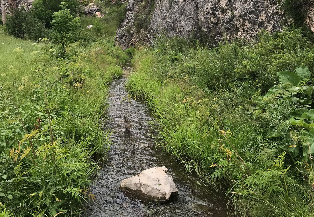 Lookout Point Creek Featured Image