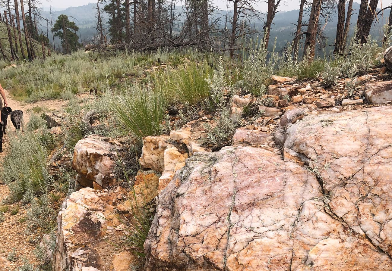 Lover's Leap Top Header Image
