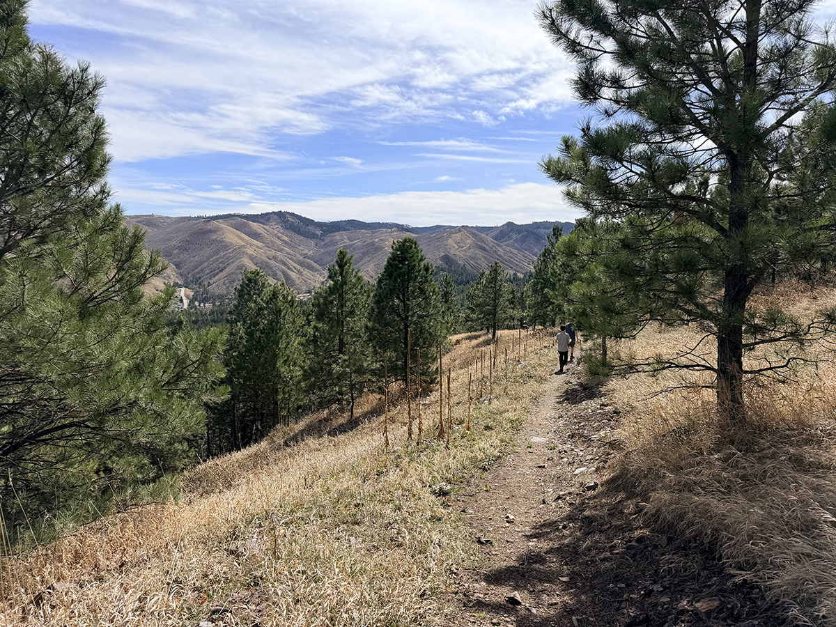 Scenic overlook at JT Memorial Fuller Trail near Deadwood