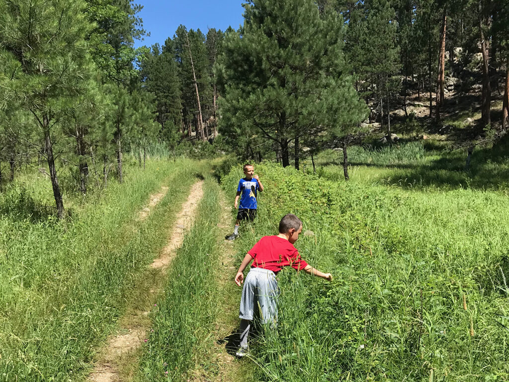 Grace Coolidge Trail in Custer State Park, trail and grassy meadow.