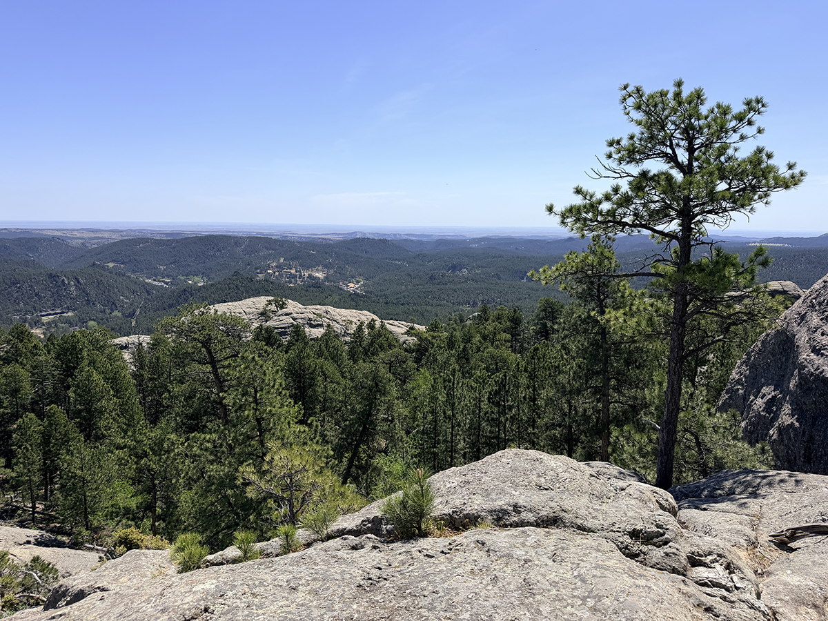 View from summit of Mount Baldy Trail near Keystone, SD