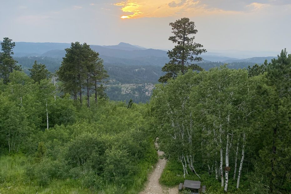 View of the Black Hills from the top of Frienship Tower on Mount Roosevelt Trail near Deadwood, SD