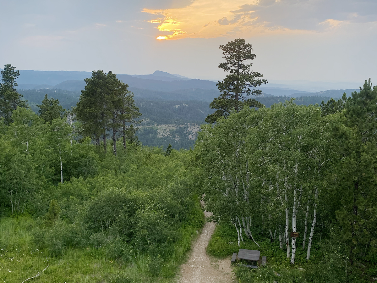 View of the Black Hills from the top of Frienship Tower on Mount Roosevelt Trail near Deadwood, SD