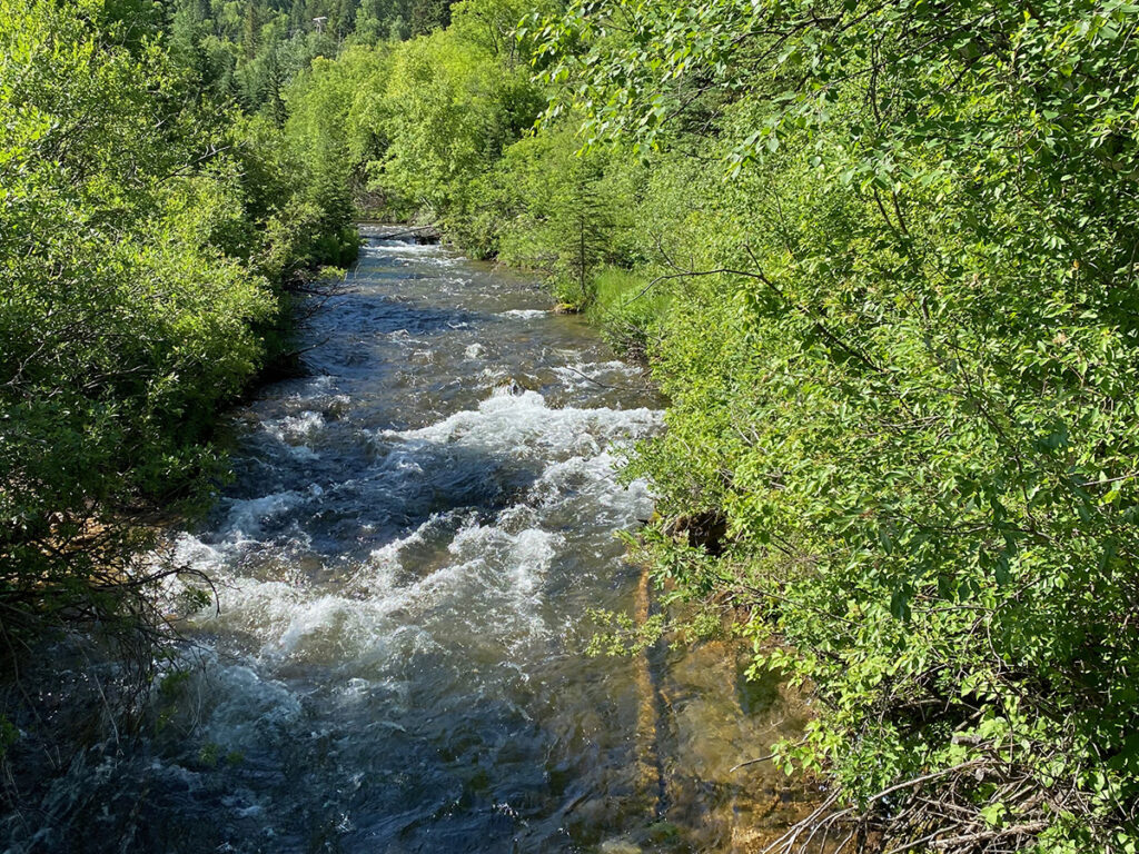 view of creek in spearfish canyon along spearfish falls trail