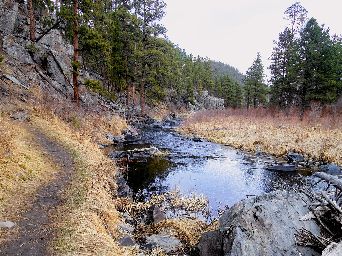 Spring Creek Loop trail near Rapid City, SD. View of creek