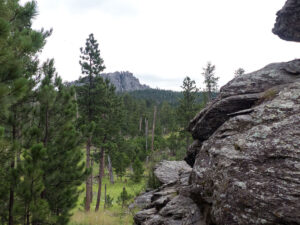 willow creek trail view