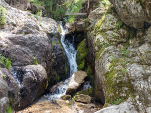 willow creek trail waterfall
