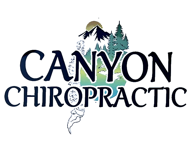 Canyon Chiropractic logo