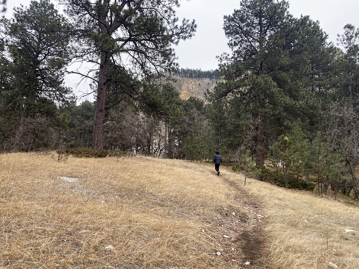 Path and trees along The Outlaw Trail in Sundance, Wyoming in the White Ranch Park