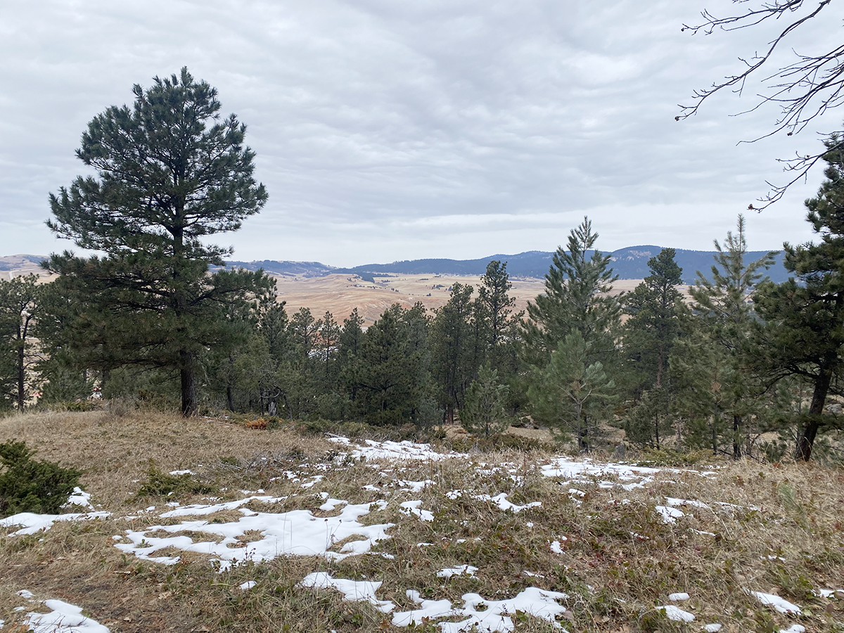 The Outlaw Trail at Sundance, Wyoming, White Ranch Park view from the summit
