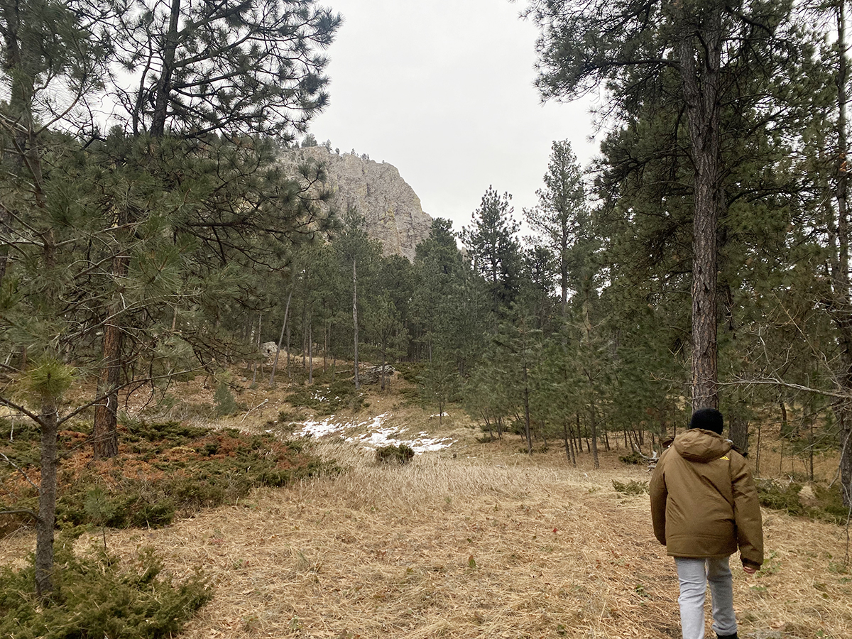 View of Sundance Mountain through the trees along The Outlaw Trail in White Ranch Park, Wyoming