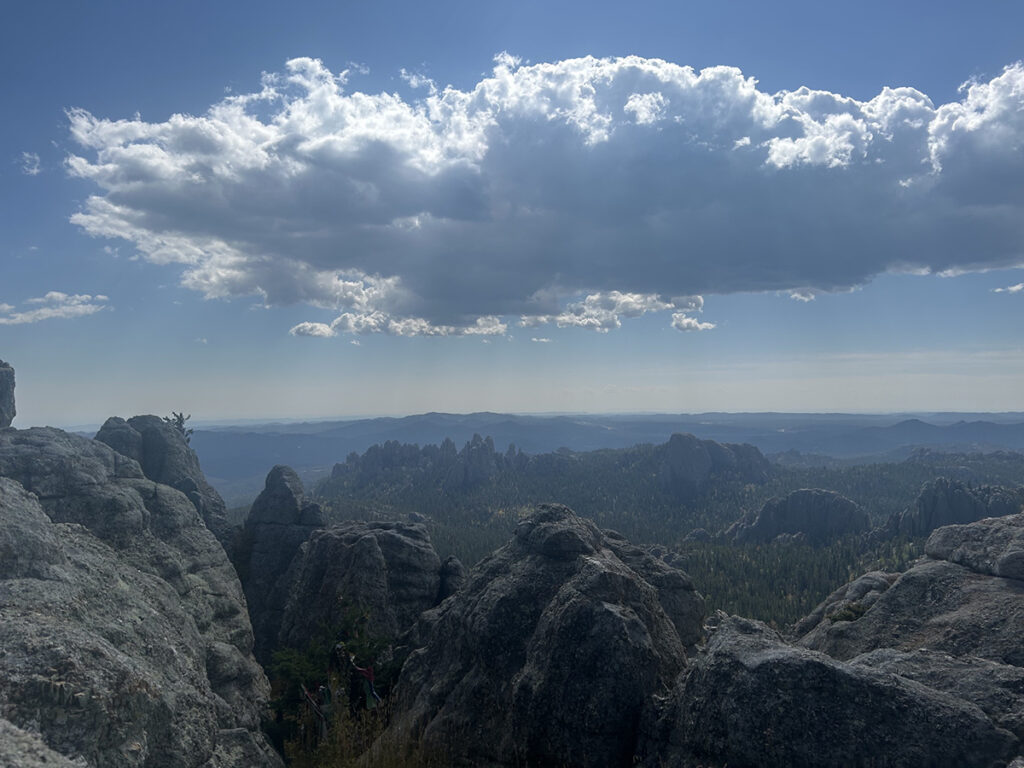 Summit view in Custer State Park by Logan S.