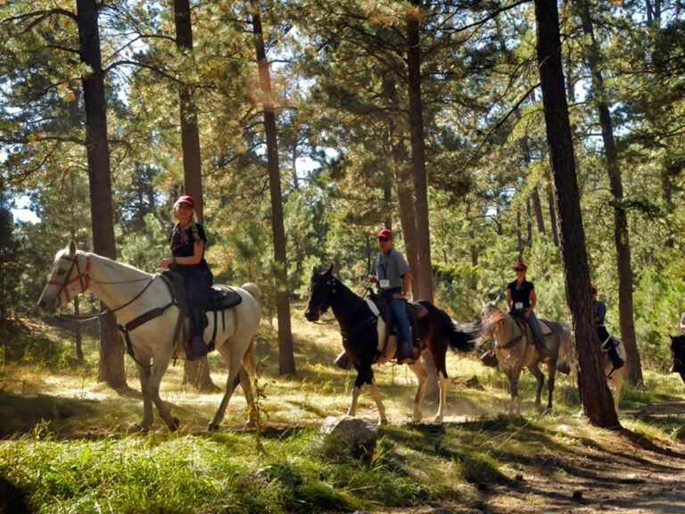 Custer State Park horse trail ride