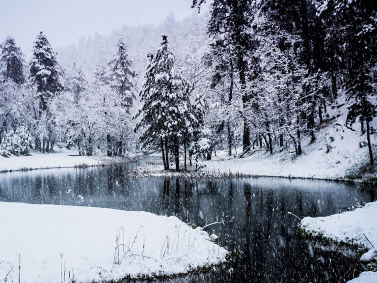 Custer State Park lake in winter