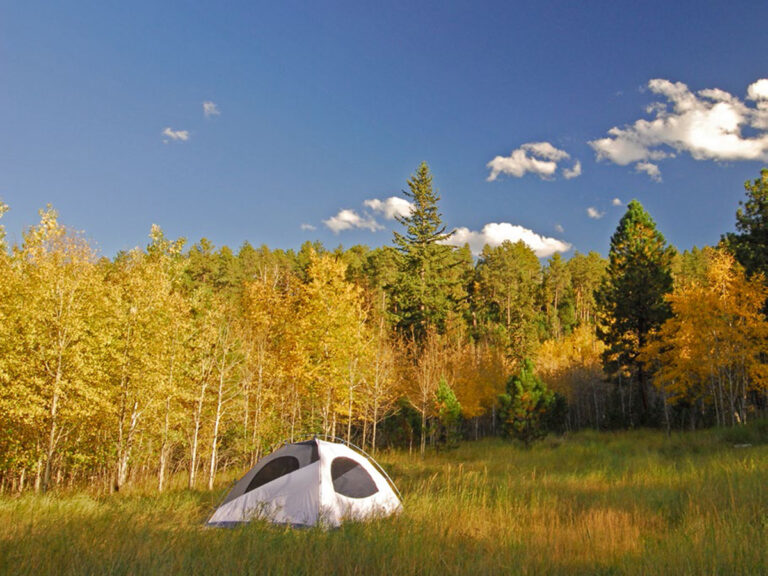 Custer State Park primitive camping in fall