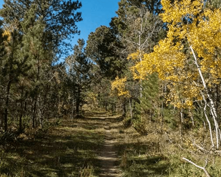Old Baldy Trail