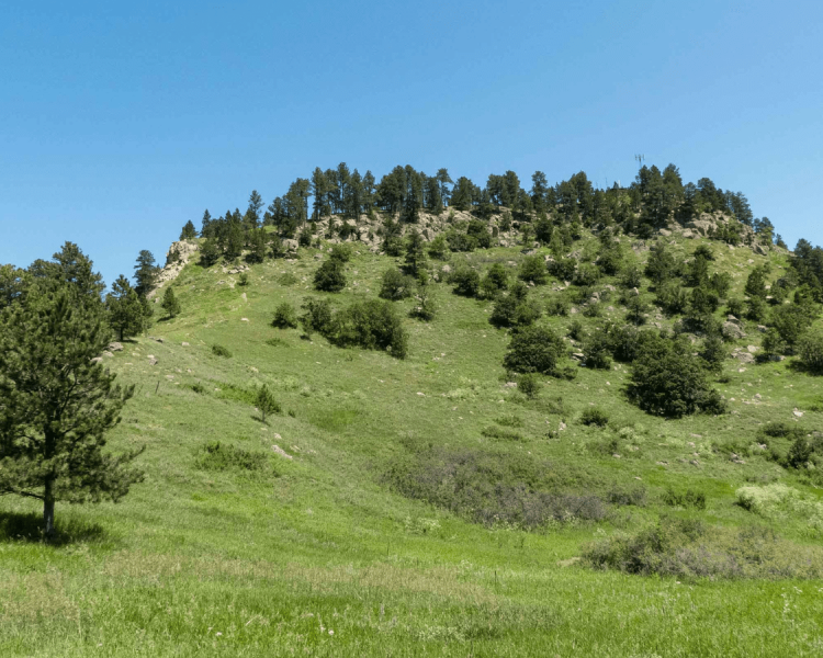 Lookout Mountain Large Loop