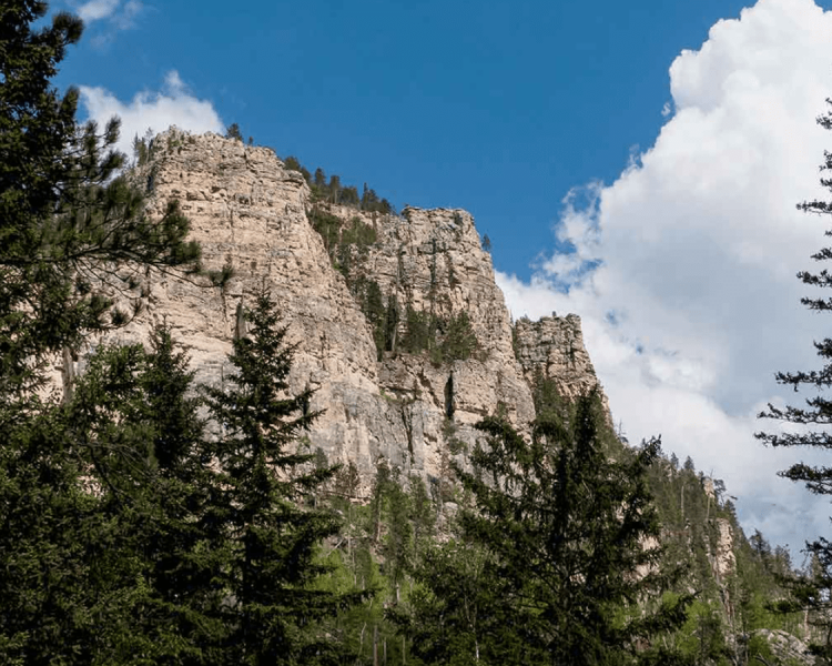 Spearfish Canyon Trails At Savoy