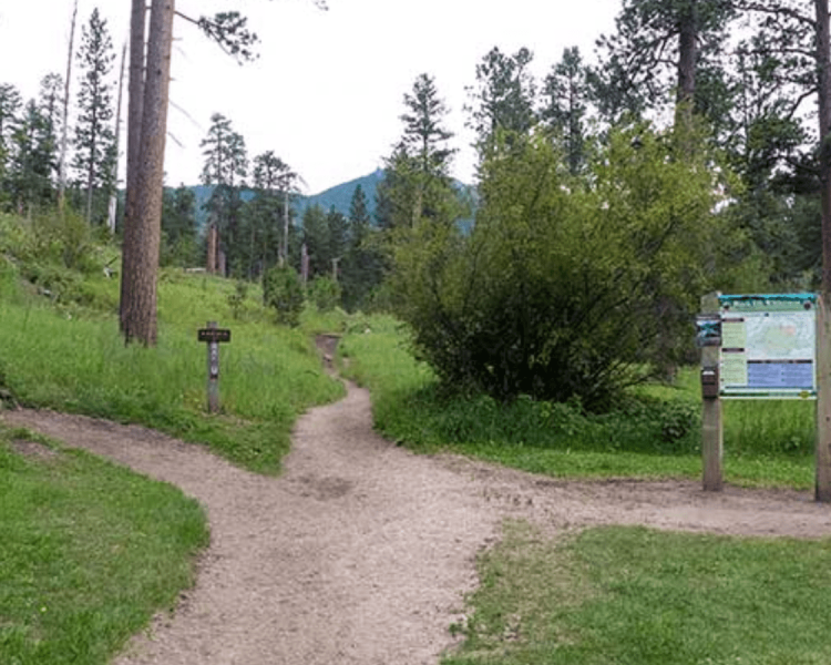 Willow Creek Trails