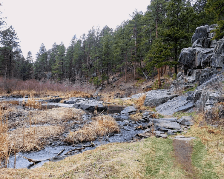 Spring Creek Loop Trail