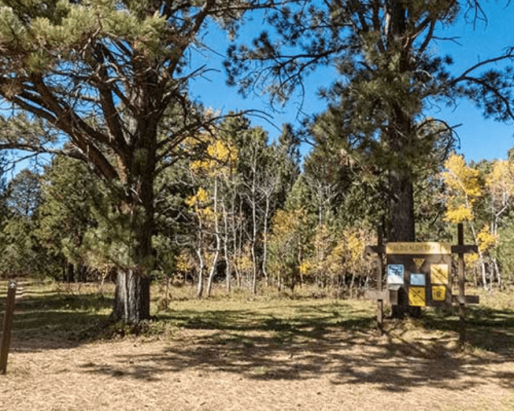 Old Baldy Trail