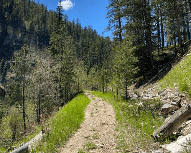 Iron Creek Trail - Northern Hills