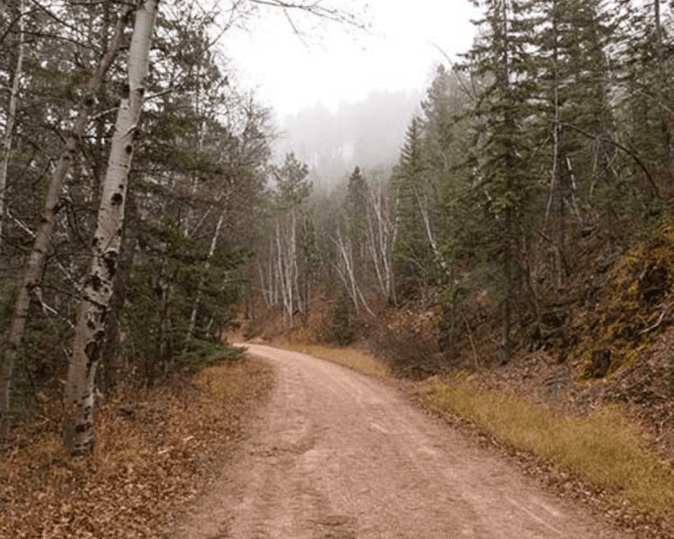 Mickelson Trail - Sugarloaf to Englewood