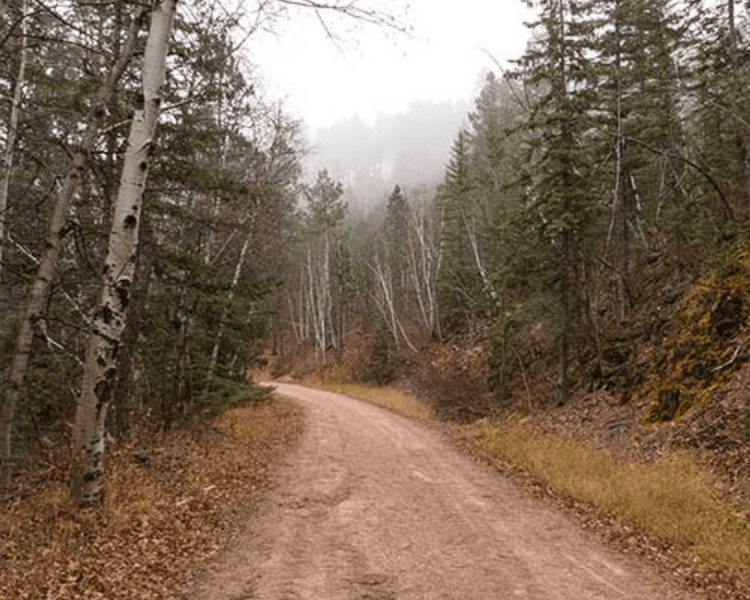 Mickelson Trail - Sugarloaf to Englewood