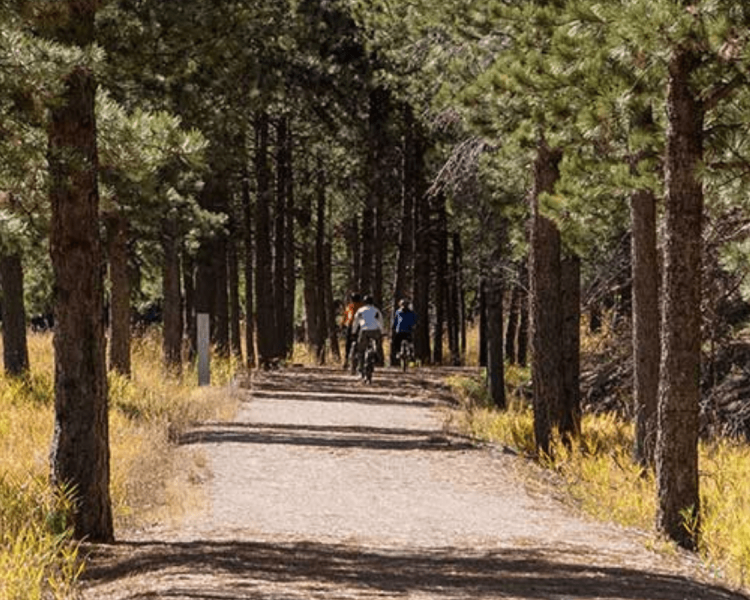 Mickelson Trail - Deadwood to Sugarloaf