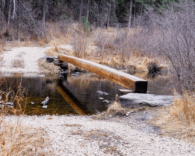 Spring Creek Loop Trail