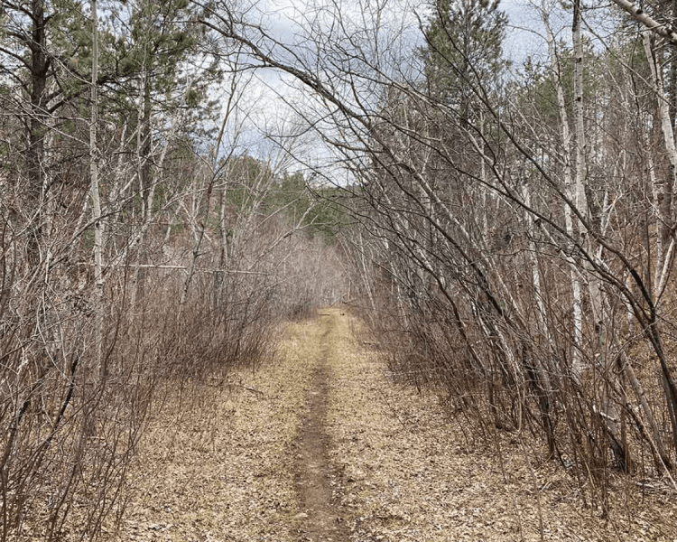 Centennial Trail - Rapid Creek To Brush Creek