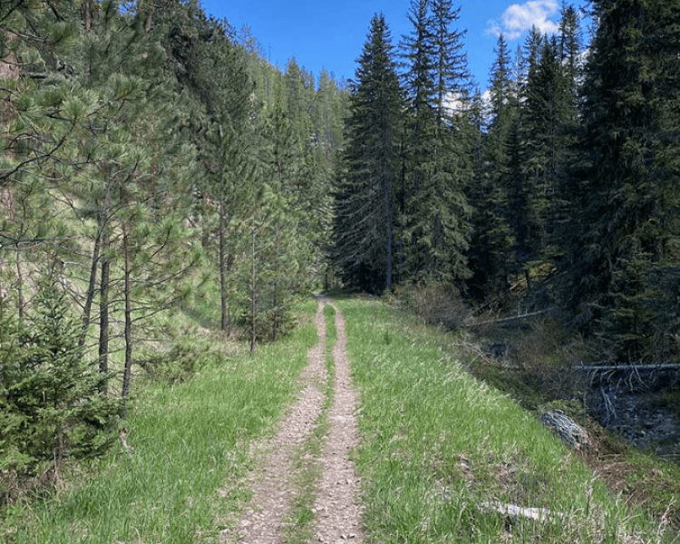 Iron Creek Trail - Northern Hills