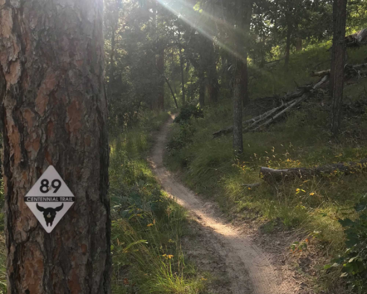 Black Hills Hikes To Beat The Heat