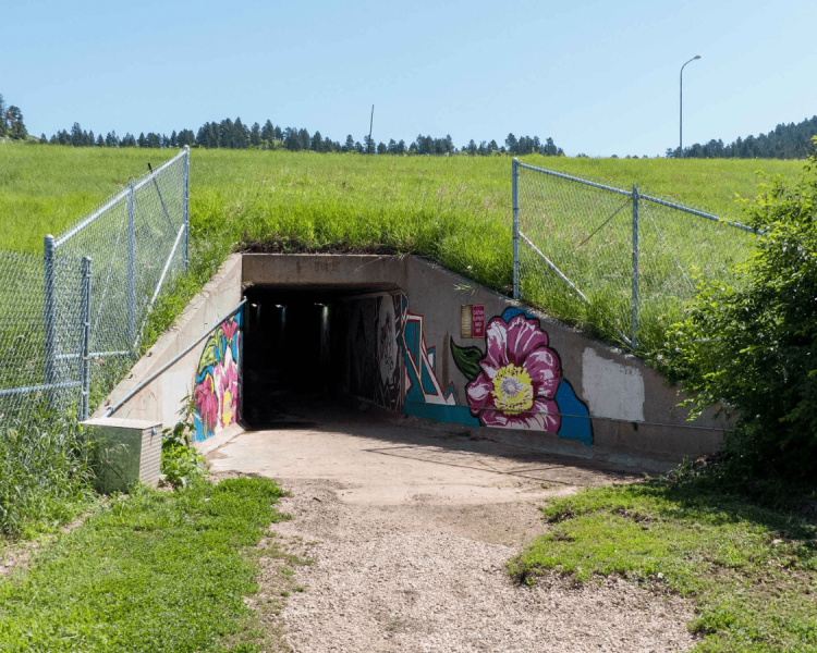 Lookout Mountain Large Loop