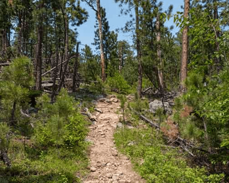 Horsethief Trail