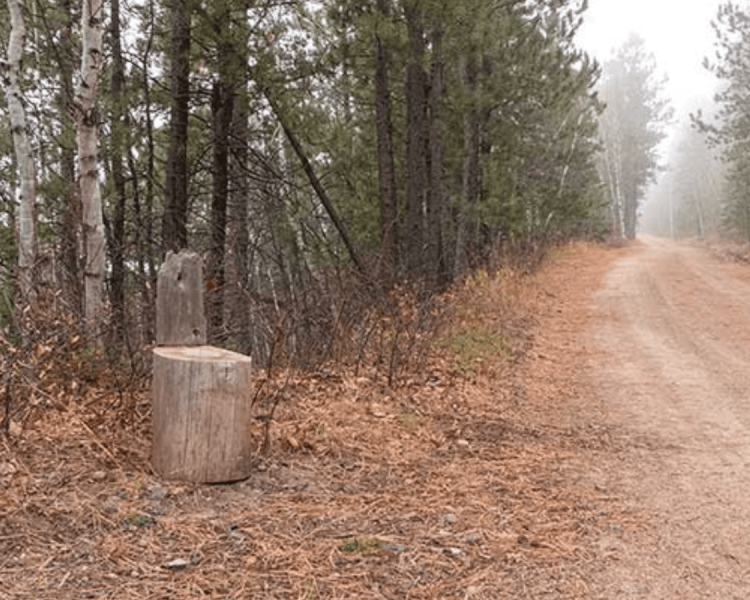 Mickelson Trail - Sugarloaf to Englewood