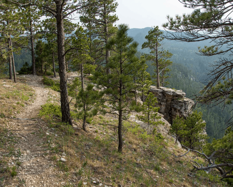 Sturgis Trail 8 - Sturgis Trail System