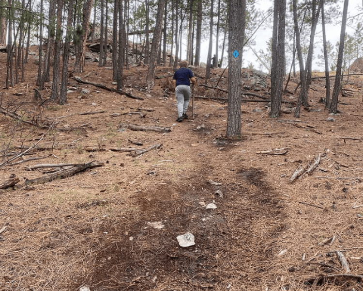 The Lost Trails