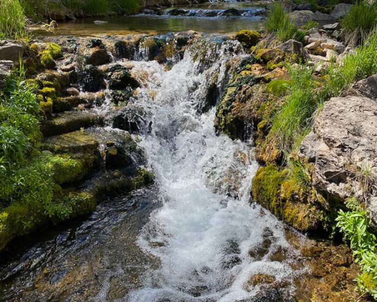 Iron Creek Trail - Northern Hills