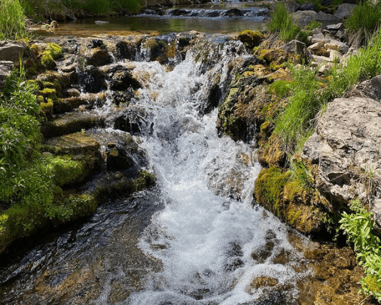 Iron Creek Trail - Northern Hills